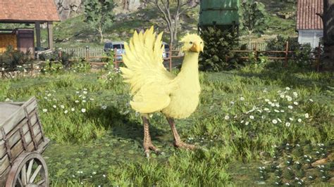 ff7 chocobo betting guide|Final Fantasy VII/Chocobos — StrategyWiki .